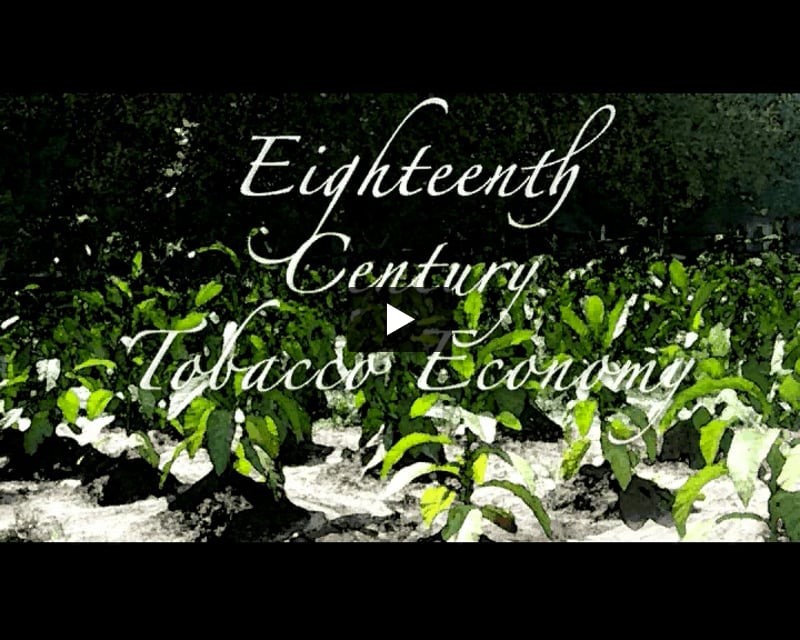Eighteenth Century Tobacco Economy Video